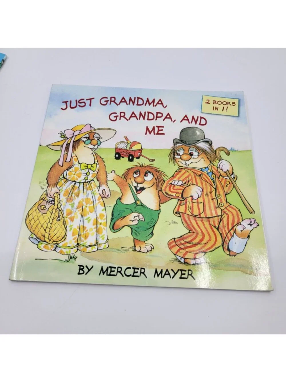 LITTLE CRITTER Lot of Children's Books by Mercer Mayer - BK324